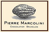 pierre_logo