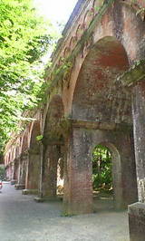 2f9d6494.jpg