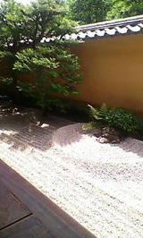 7a5209d5.jpg
