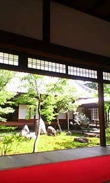 a6d99b81.jpg