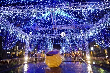 IMG_2210