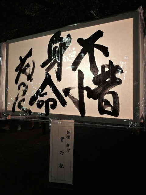 DSCN8778
