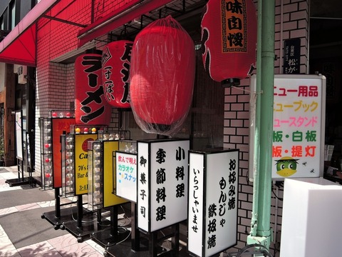 DSCN8987