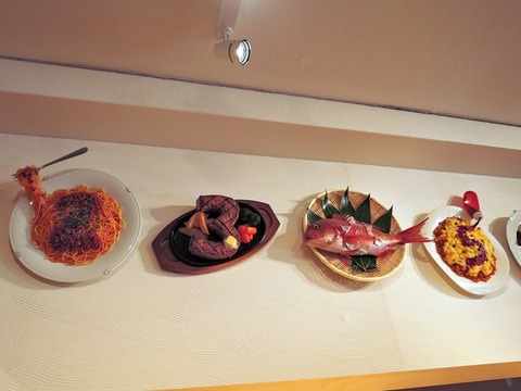 DSCN8993