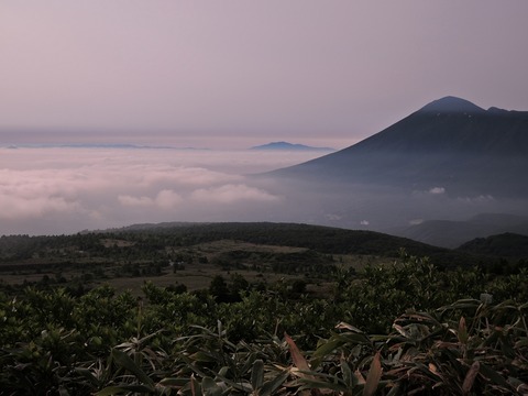 DSCN8656