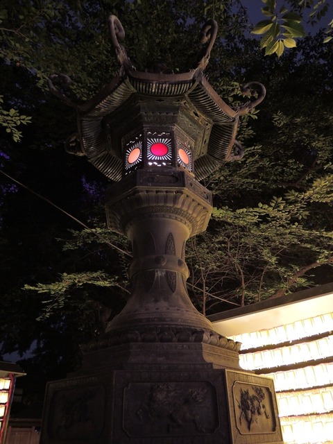 DSCN8775