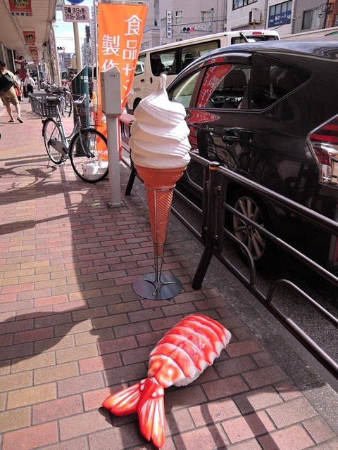 DSCN9033