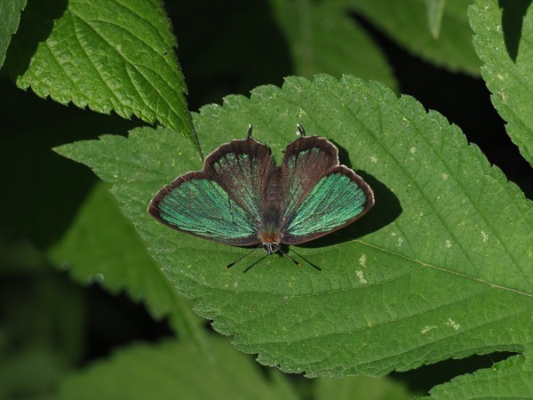 P6020028_R
