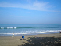 浜辺