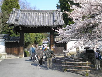 随心院