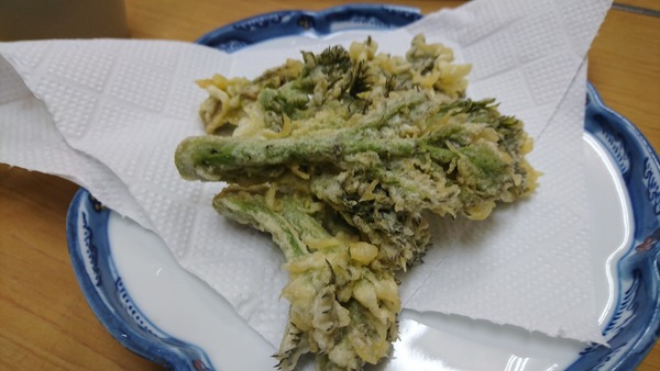 美河 (8)