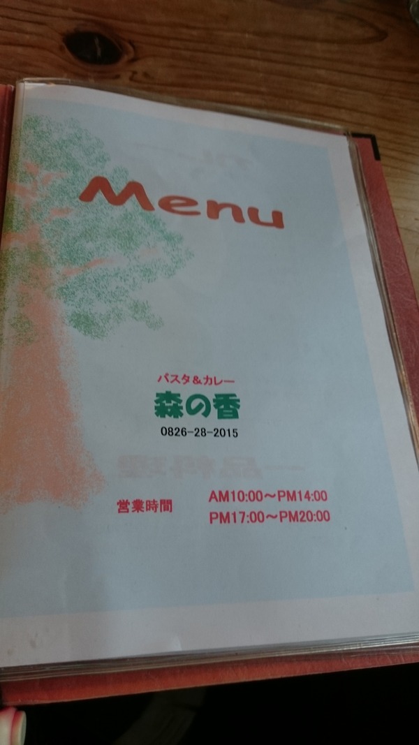 森の香 ハンバーグカレーネギソース添え (6)