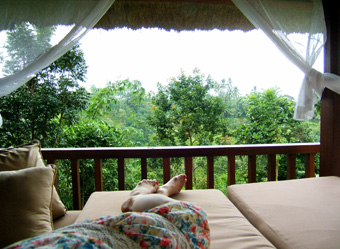 bali11