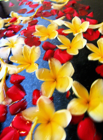 bali9
