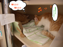 BlogPaint