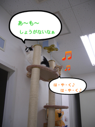 BlogPaint