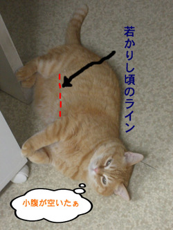 BlogPaint