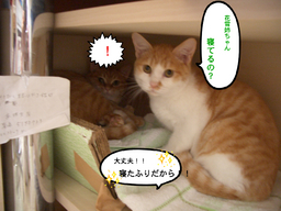 BlogPaint