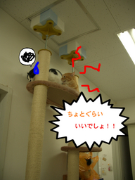 BlogPaint