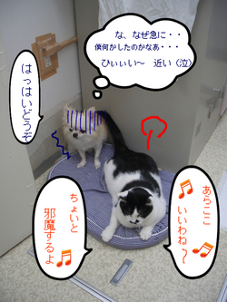 BlogPaint