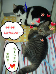 BlogPaint
