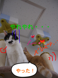 BlogPaint