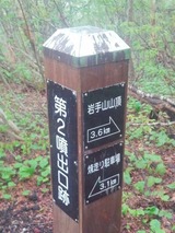 d50562c6.jpg