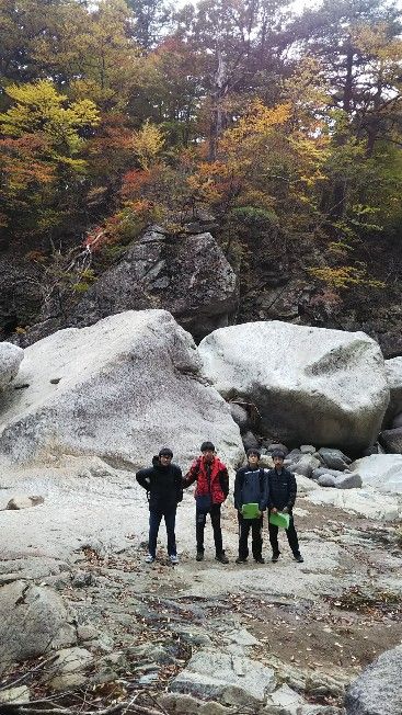 IMG_20181029_182526