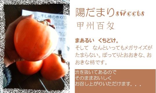 百目201112