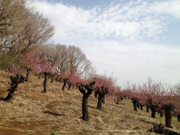 20120403001