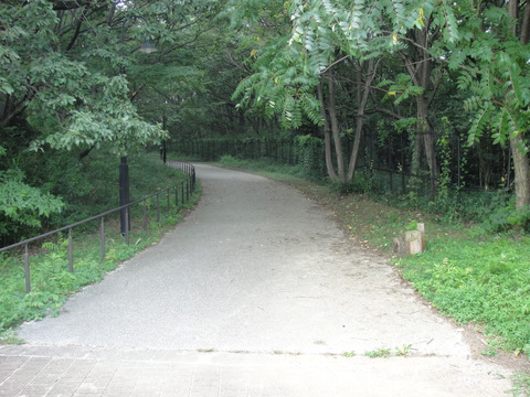 DSC00703