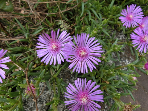 CIMG9578