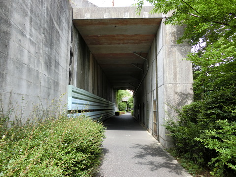 CIMG9553