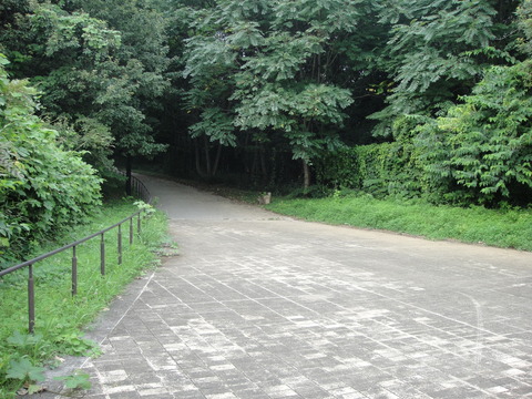 DSC00702