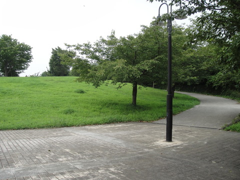 DSC00698