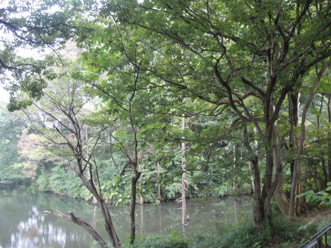 DSC00714