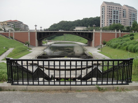 DSC00720