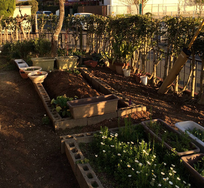 resize3527