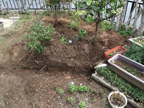 拡大する