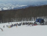 30258042.jpg