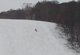 483045c9.jpg