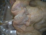 �����������̻ޤ�����
