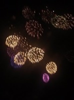 花火6