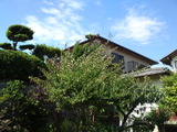 SN3O0095