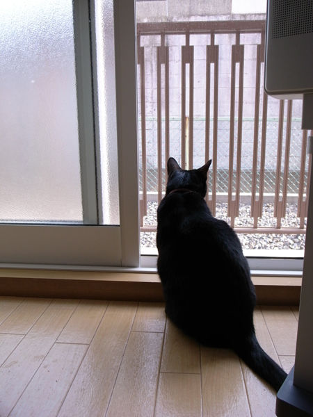 101117 土浦の家