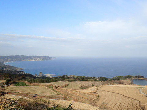 P1300354