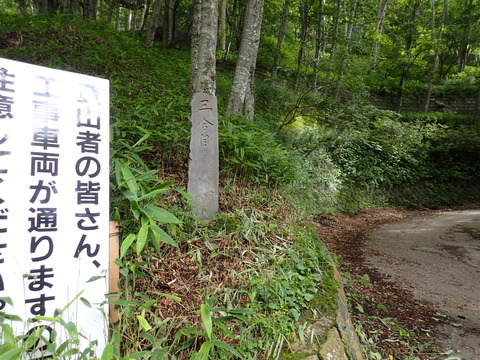P7190022
