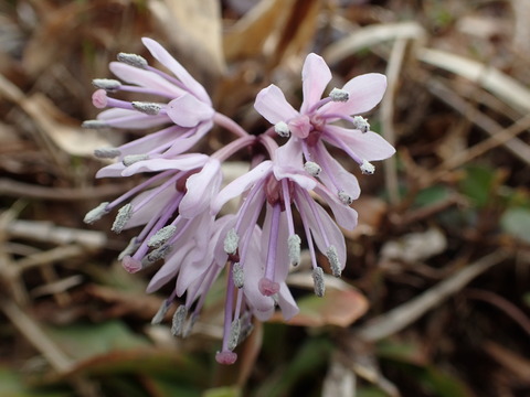 P5010045