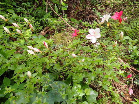 P5240014