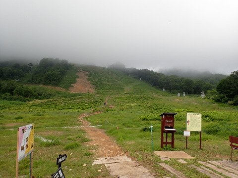 P7160005
